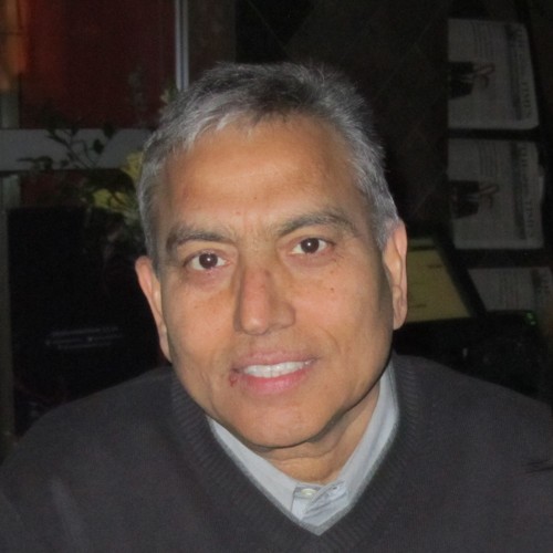 Prabhat Arya, PhD, Scientific Advisor at ChemShopy